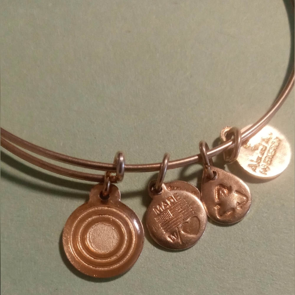 Alex and Ani 2012 divinity circle bangle bracelet in gold tone. - Picture 6 of 7